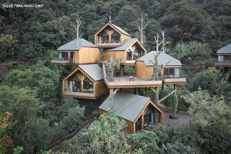 Thiết kế homestay nhà vườn lấy cảm hứng từ hình tổ chim, kiến trúc độc đáo giữa rừng cây